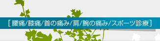 腰痛/膝痛/首の痛み/肩/腕の痛み/スポーツ診療などご相談ください