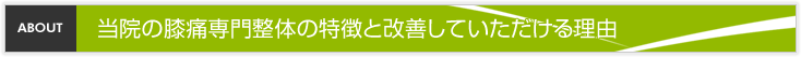 当院の膝痛専門整体の特徴と改善していただける理由